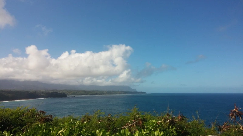 264D474358B52982331C0D