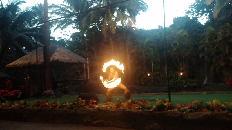 244F9D4058A924A118F271