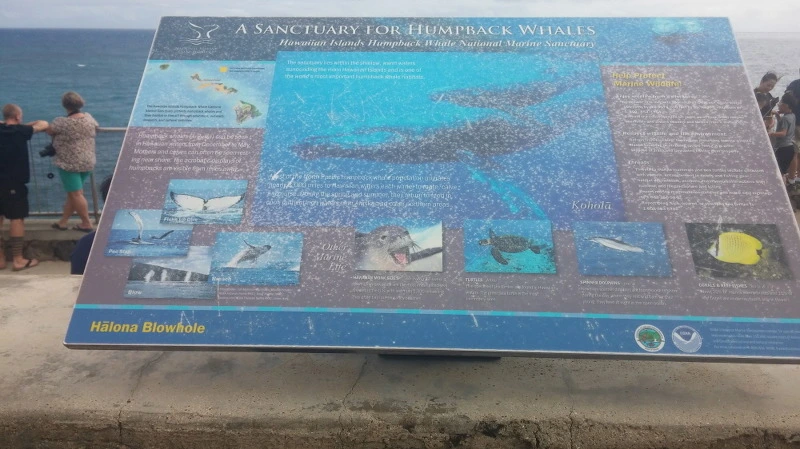 261C644258B3A63A1C77BC