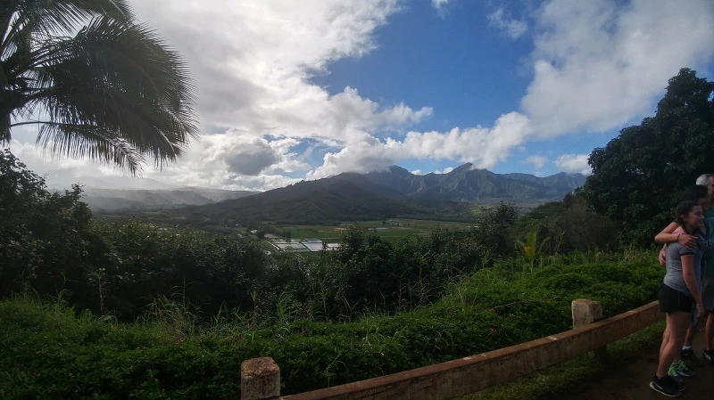 2467FE3E58B52B8D09483D