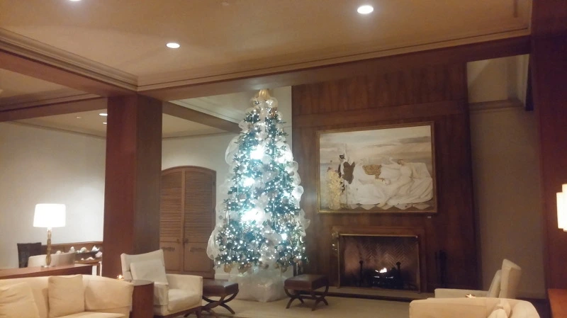 2566024158B3846039D60F