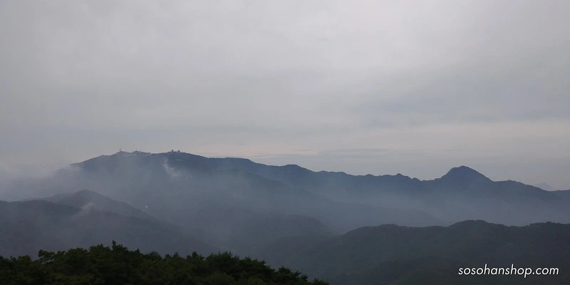 992A5A33598BA365114346