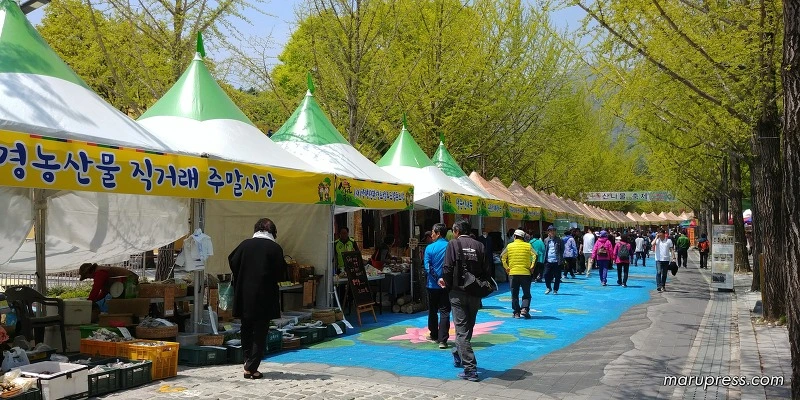 2135DC455902E7911AA0AA