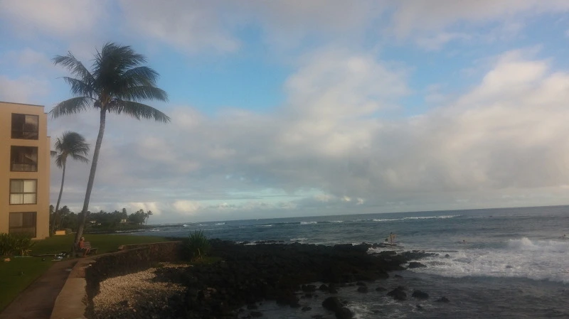 252C973F58B5299E3B31E2