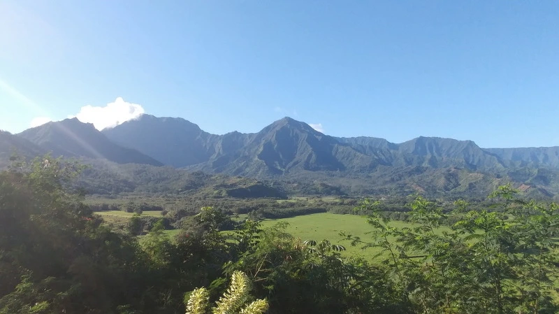 265C5F3D58B52AE53308FB