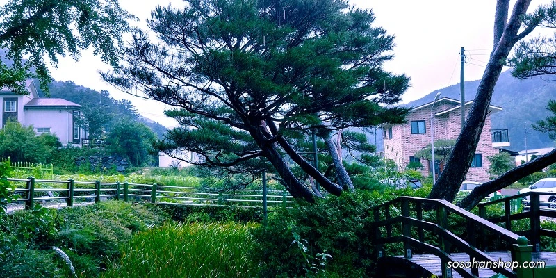 996E50335992AD8B25D06A