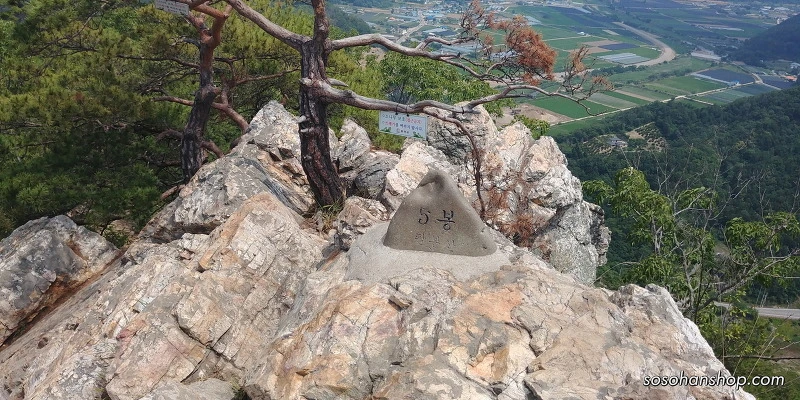 230ED73559536A410A0D7E