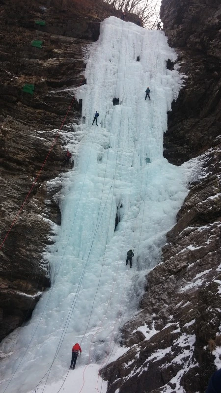 2323C73858A7A45E04757F