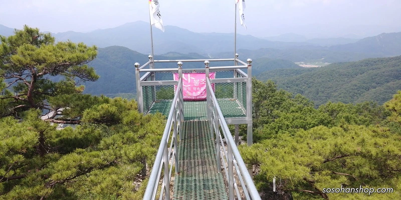 261ADD3959536A2C044A73