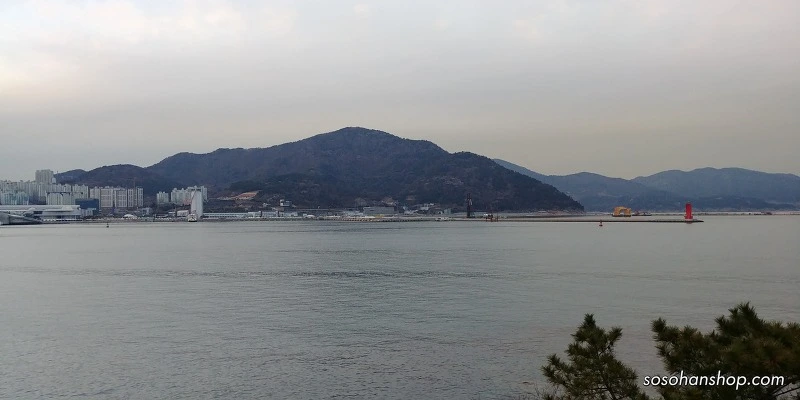 994CAB4E5A35C6EB2D8A26