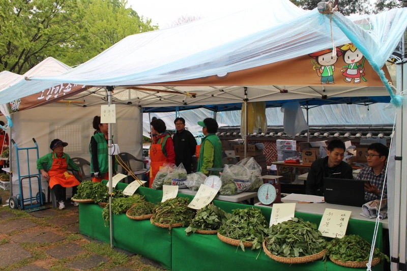 221EF444572C3BFB255F11