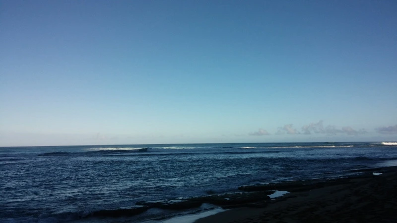 262AA23858B5292E0709EC