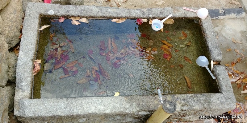 99E398455A3612AD17F1F7