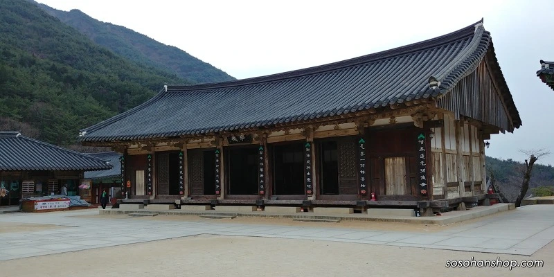 9921F64D5A3614E41E731C