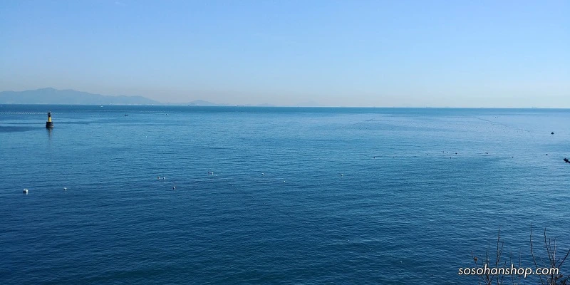 9949014A5A35F8D92DF215