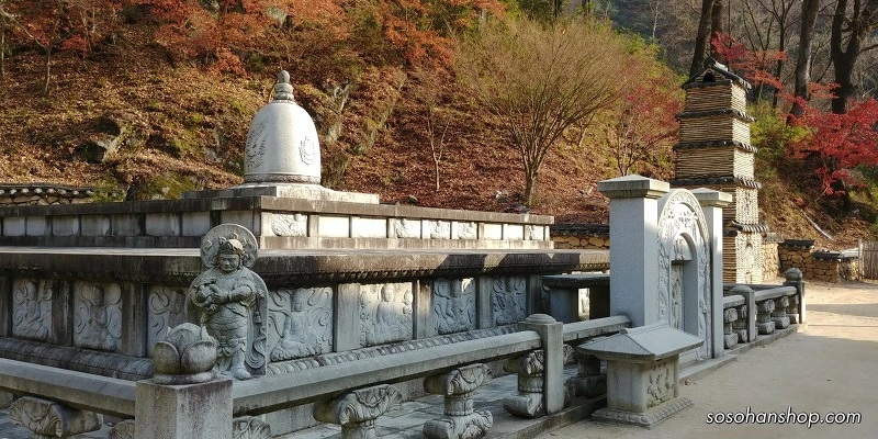 9910E44A5A3612E318EEC1