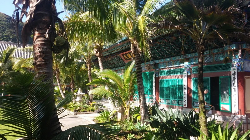 2640EA3558A8DFBC102B95