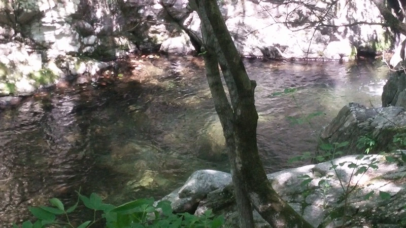 2545B44C574FFD6B09814F