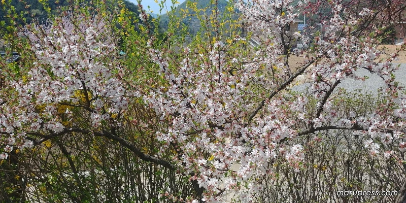 2440684A58FBF8480B8907