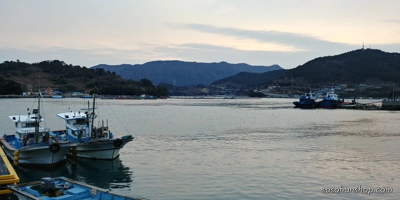 996AF0495A35FBE534630F