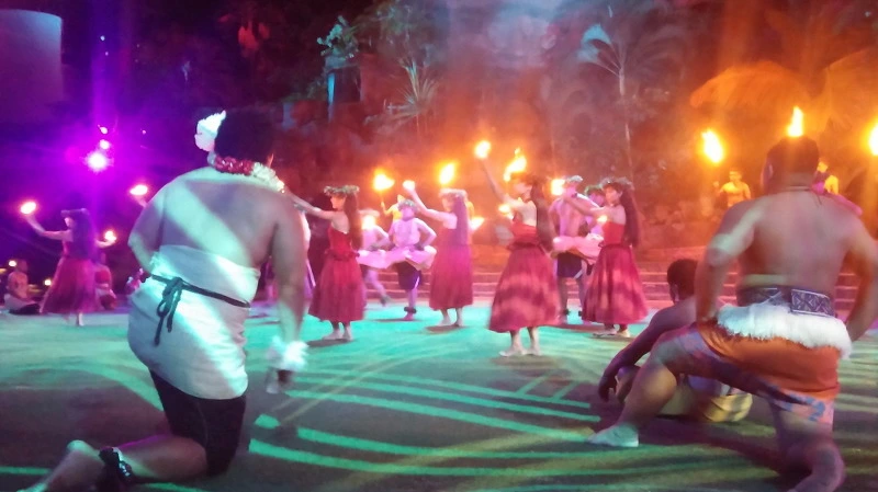 222AE54458A924A72C1DEC