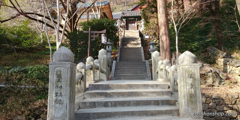 99F9D3485A36131F27EEBC