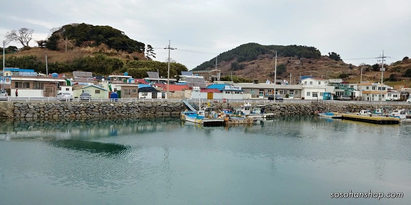 99C2DC4E5A35FBA329C5BC