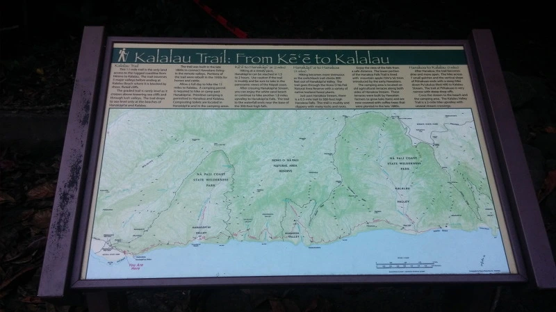 275BFD3658B529322DA82C