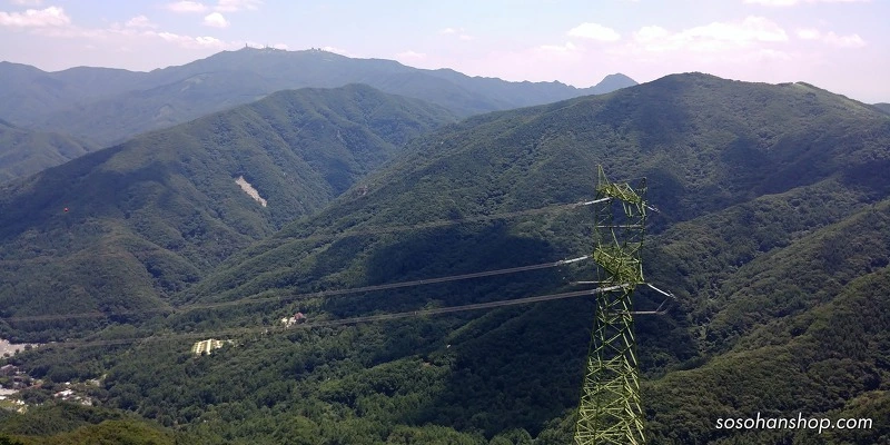 25973D3359783A8D214802