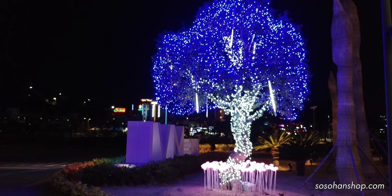 99BE37485A35C80D245A60