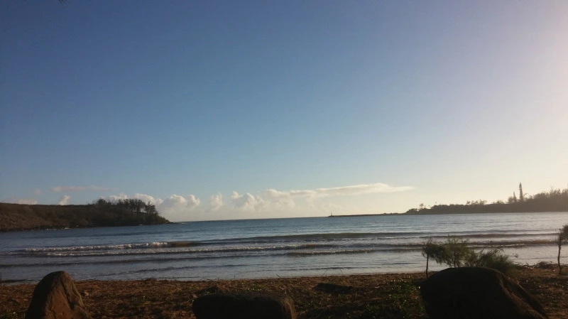 2152B03558B529242C74AB