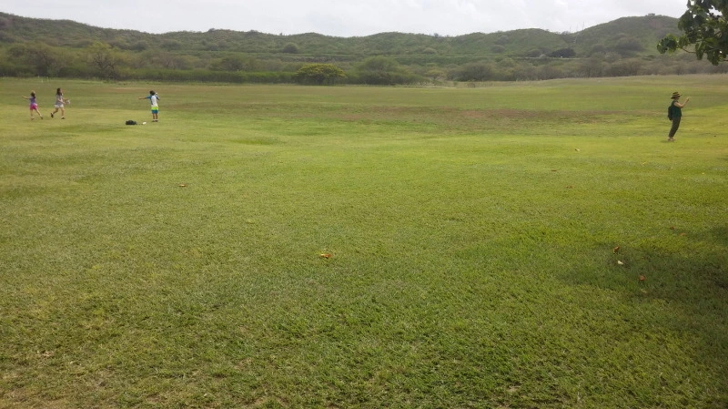 226ECD3758AA344E2EDDDB