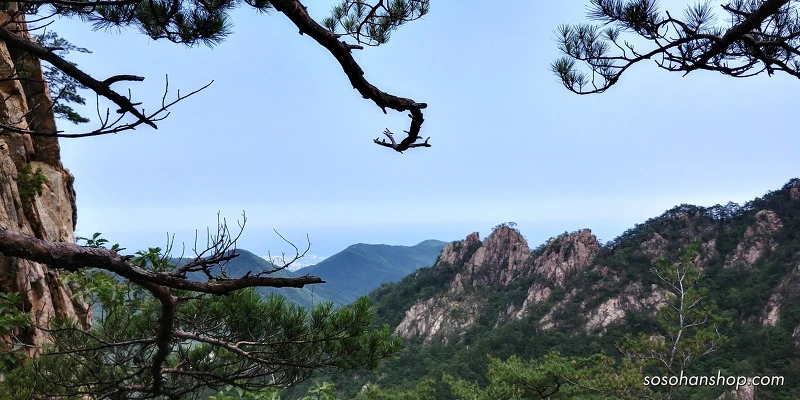 2161BC44595CE763087F26