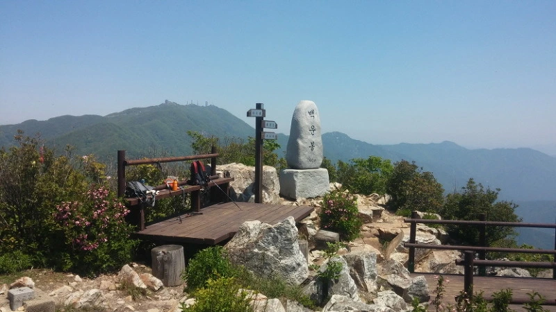 2637DE4B573D6C5F17A826