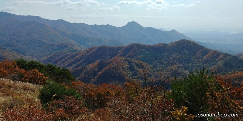 99E9723359EDDE62100ACC