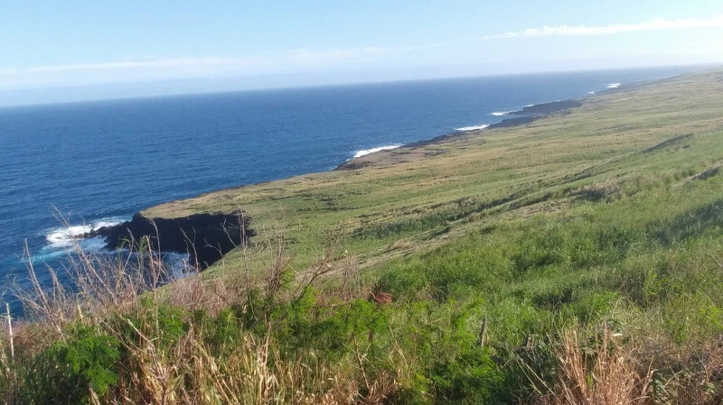 2464DA3658ABC3093E394C