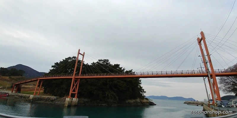 99098E495A35FB75047386