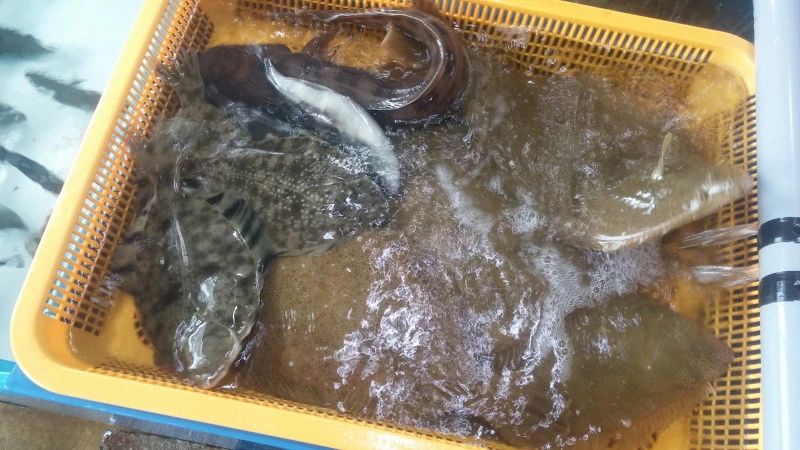 21107242577F8D972B640B