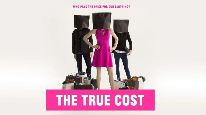 220E534E56C29EE015A51A