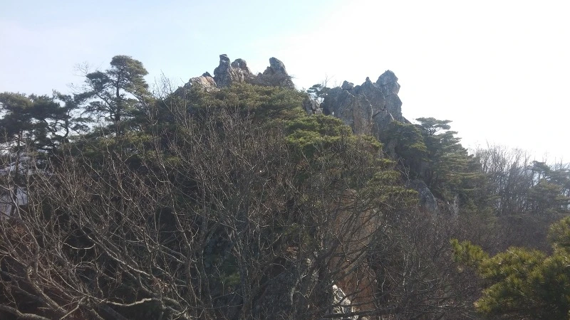 2320554B58359DFC144049