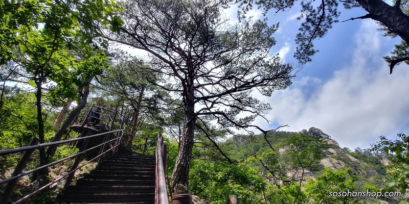 23630E3F595CE74A09E553