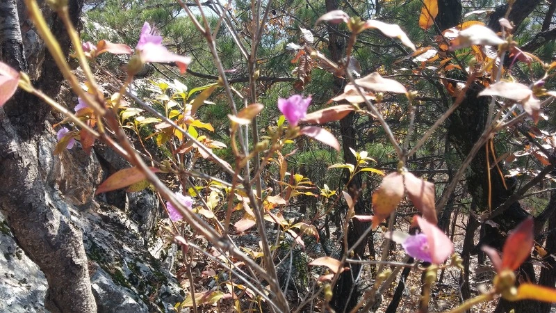 260B99485821C7E2246A07