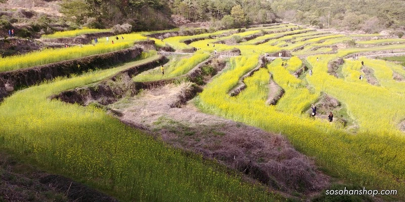 9904B9405AD3F1DC2882F7