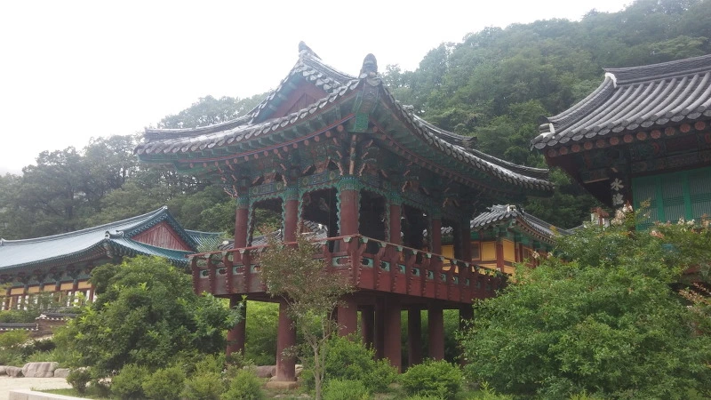 26540943577F8D90271D21