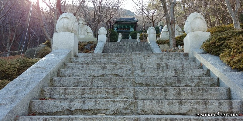 9982AF455A35F90A1D219F