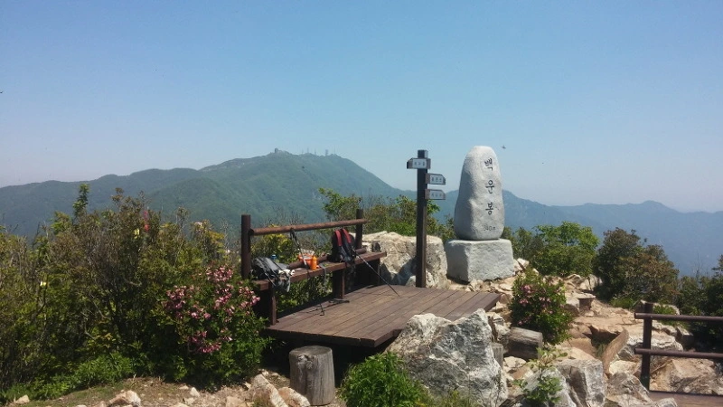 241BDD4B573D6C622FFD74