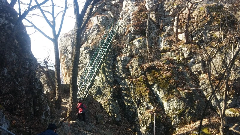 24483B4E58359DF503F159