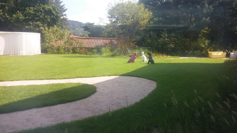 21250B4D578E186126AA83