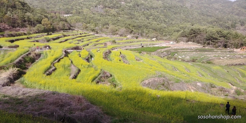 999859405AD3F1D62FC5BC