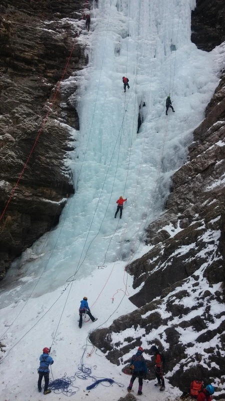 250BFB3358A7A46936B733